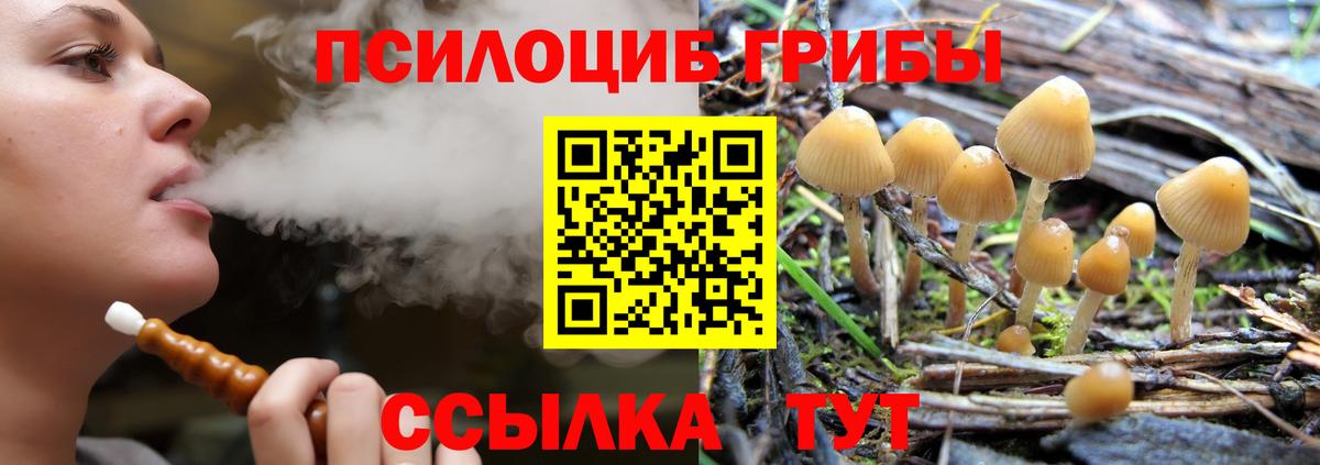Псилоцибиновые грибы MAGIC MUSHROOMS Сыктывкар